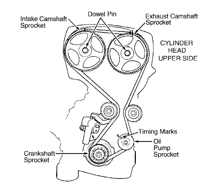 Timing belt diagram – Timing belt diagram maintenance replacement