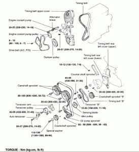 timing belt