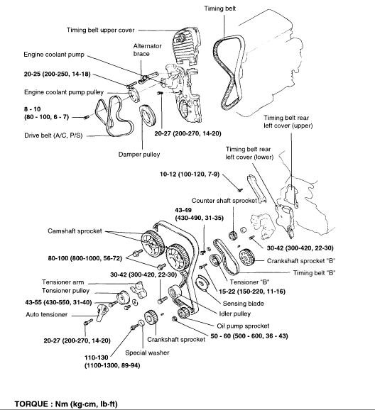 timing belt – Timing belt diagram maintenance replacement